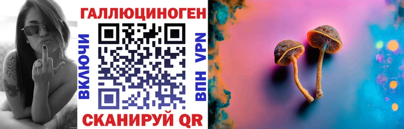 Псилоцибиновые грибы Magic Shrooms  Болохово 