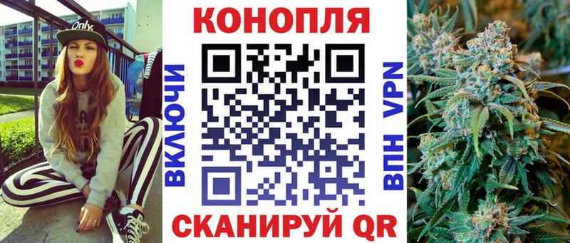 МАРИХУАНА план  Болохово 